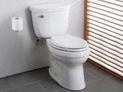 Durable Toilet